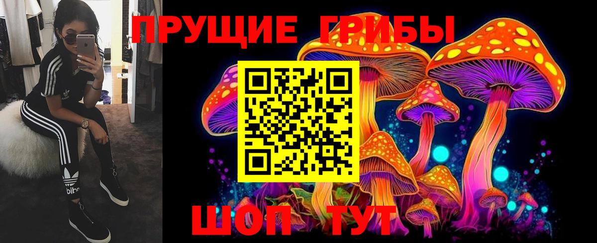 Псилоцибиновые грибы Cubensis  Вход с VPN  Наро-Фоминск 
